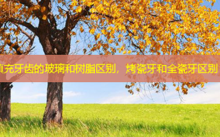 填充牙齿的玻璃和树脂区别，烤瓷牙和全瓷牙区别