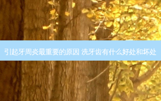 引起牙周炎最重要的原因 洗牙齿有什么好处和坏处