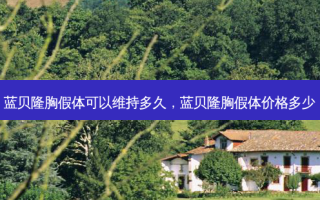 蓝贝隆胸假体可以维持多久，蓝贝隆胸假体价格多少