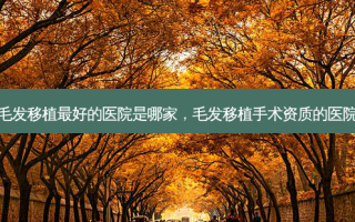 毛发移植 *** 的医院是哪家，毛发移植手术资质的医院