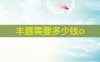 丰唇需要多少钱o