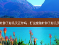 打完瘦脸针肿了好几天正常吗，打完瘦脸针肿了好几天还没消肿