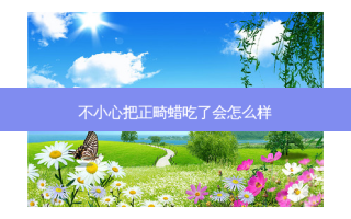 不小心把正畸蜡吃了会怎么样