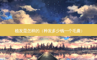 植发是怎样的（种发多少钱一个毛囊）