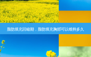 脂肪填充回缩期，脂肪填充胸部可以维持多久