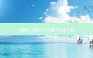 做鼻子大概价位 做鼻子尖多少钱