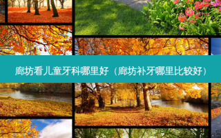 廊坊看儿童牙科哪里好（廊坊补牙哪里比较好）