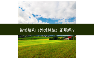 智美颜和（外滩总院）正规吗？