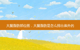 大腿脂肪部位图，大腿脂肪是怎么排出体外的