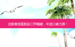 沈阳整形医院前三甲揭晓，年度口碑力荐！