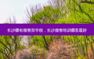 长沙哪有微整形学校，长沙微整培训哪里 *** 