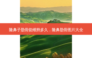 隆鼻子肋骨能维持多久，隆鼻肋骨图片大全