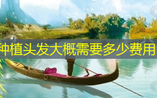 种植头发大概需要多少费用