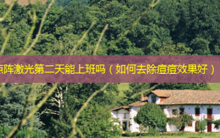 点阵激光第二天能上班吗（如何去除痘痘效果好）