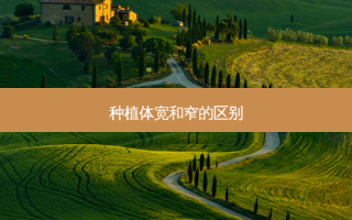 种植体宽和窄的区别