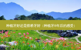 种植牙好还是搭桥牙好（种植牙8年后的感受）