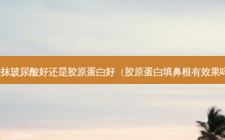 涂抹玻尿酸好还是胶原蛋白好（胶原蛋白填鼻根有效果吗）