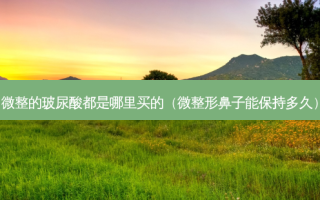 微整的玻尿酸都是哪里买的（微整形鼻子能保持多久）