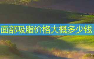 面部吸脂价格大概多少钱