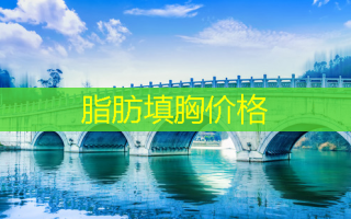 脂肪填胸价格