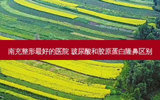 南充整形 *** 的医院 玻尿酸和胶原蛋白隆鼻区别