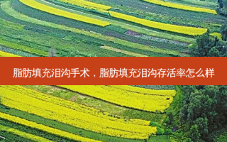 脂肪填充泪沟手术，脂肪填充泪沟 *** 怎么样