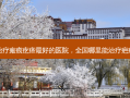 国内治疗瘢痕疙瘩 *** 的医院，全国哪里能治疗疤痕疙瘩