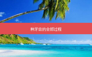 种牙齿的全部过程