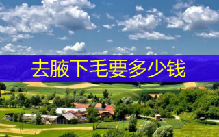 去腋下毛要多少钱