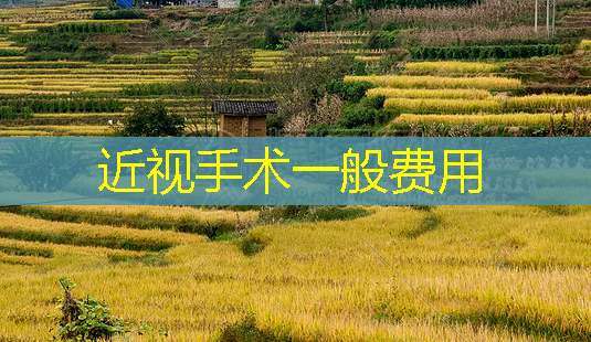 近视手术一般费用-第1张图片-南山整形网 近视手术一般费用-第1张图片-南山整形网