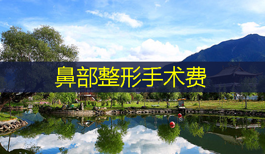 鼻部整形手术费-第1张图片-南山整形网 鼻部整形手术费-第1张图片-南山整形网