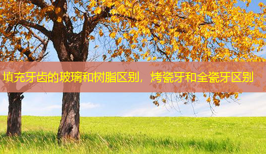 填充牙齿的玻璃和树脂区别,烤瓷牙和全瓷牙区别-第1张图片-南山整形网 填充牙齿的玻璃和树脂区别,烤瓷牙和全瓷牙区别-第1张图片-南山整形网