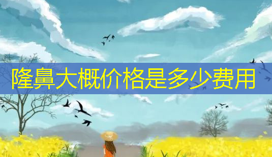 隆鼻大概价格是多少费用-第1张图片-南山整形网 隆鼻大概价格是多少费用-第1张图片-南山整形网