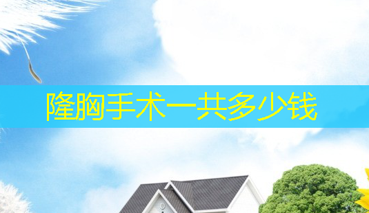 隆胸手术一共多少钱-第1张图片-南山整形网 隆胸手术一共多少钱-第1张图片-南山整形网