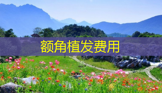 额角植发费用-第1张图片-南山整形网 额角植发费用-第1张图片-南山整形网