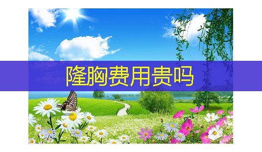 隆胸费用贵吗-第1张图片-南山整形网 隆胸费用贵吗-第1张图片-南山整形网