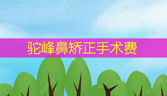 驼峰鼻矫正手术费-第1张图片-南山整形网 驼峰鼻矫正手术费-第1张图片-南山整形网