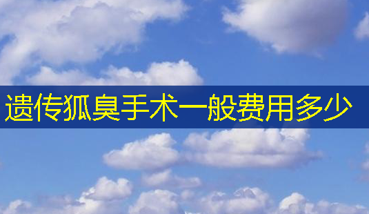 遗传狐臭手术一般费用多少-第1张图片-南山整形网 遗传狐臭手术一般费用多少-第1张图片-南山整形网