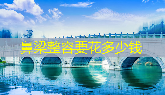鼻梁整容要花多少钱-第1张图片-南山整形网 鼻梁整容要花多少钱-第1张图片-南山整形网