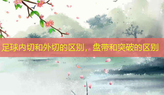 足球内切和外切的区别,盘带和突破的区别-第1张图片-南山整形网 足球内切和外切的区别,盘带和突破的区别-第1张图片-南山整形网
