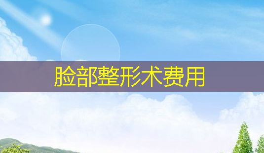 脸部整形术费用-第1张图片-南山整形网 脸部整形术费用-第1张图片-南山整形网