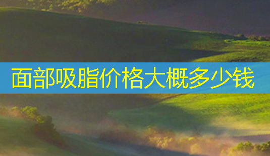 面部吸脂价格大概多少钱-第1张图片-南山整形网 面部吸脂价格大概多少钱-第1张图片-南山整形网