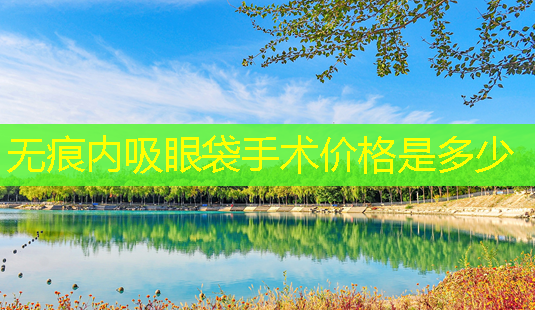无痕内吸眼袋手术价格是多少-第1张图片-南山整形网 无痕内吸眼袋手术价格是多少-第1张图片-南山整形网