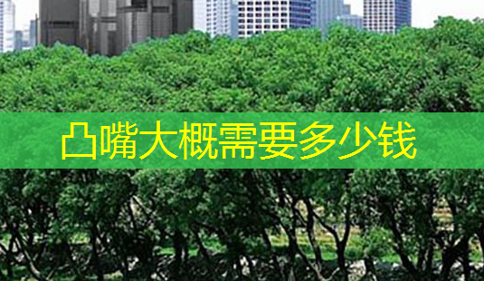 凸嘴大概需要多少钱-第1张图片-南山整形网 凸嘴大概需要多少钱-第1张图片-南山整形网