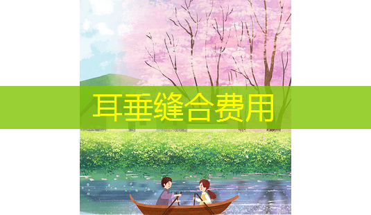 耳垂缝合费用-第1张图片-南山整形网 耳垂缝合费用-第1张图片-南山整形网