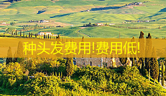 种头发费用!费用低!-第1张图片-南山整形网 种头发费用!费用低!-第1张图片-南山整形网