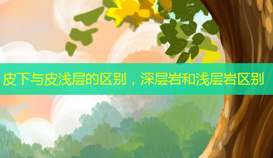 皮下与皮浅层的区别,深层岩和浅层岩区别-第1张图片-南山整形网 皮下与皮浅层的区别,深层岩和浅层岩区别-第1张图片-南山整形网