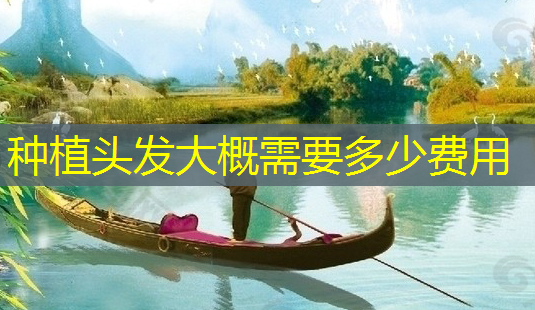 种植头发大概需要多少费用-第1张图片-南山整形网