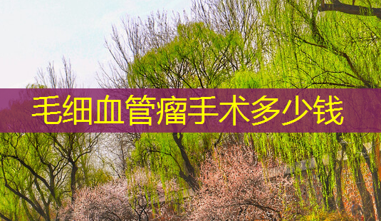 毛细血管瘤手术多少钱-第1张图片-南山整形网 毛细血管瘤手术多少钱-第1张图片-南山整形网