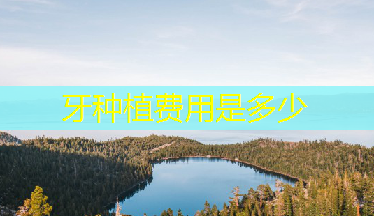牙种植费用是多少-第1张图片-南山整形网 牙种植费用是多少-第1张图片-南山整形网